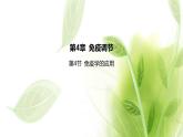 新人教版高中生物选择性必修第一册第4章免疫调节第4节免疫学的应用课件