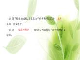 新人教版高中生物选择性必修第一册第4章免疫调节第4节免疫学的应用课件