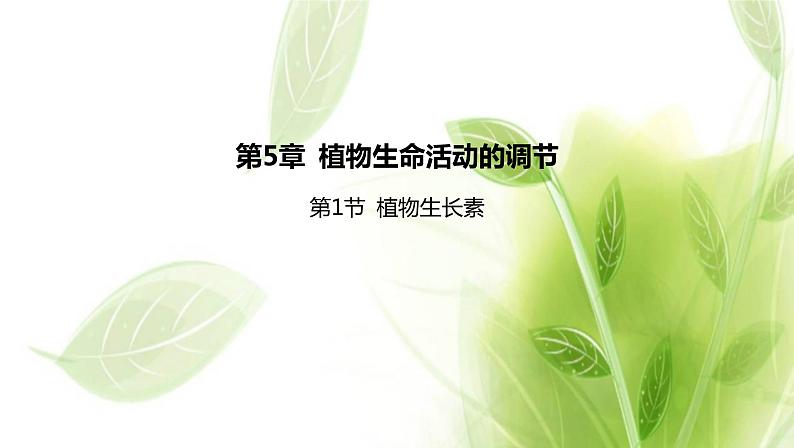 新人教版高中生物选择性必修第一册第5章植物生命活动的调节第1节植物生长素课件01