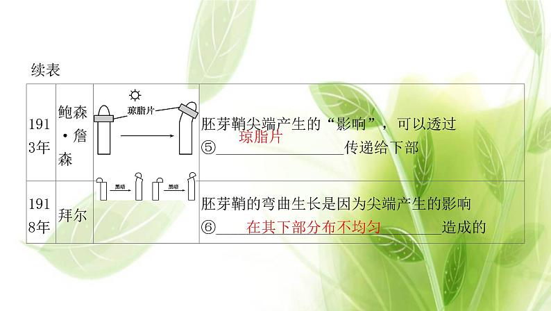 新人教版高中生物选择性必修第一册第5章植物生命活动的调节第1节植物生长素课件04