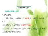 新人教版高中生物选择性必修第一册第5章植物生命活动的调节第2节其他植物激素课件