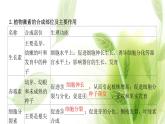 新人教版高中生物选择性必修第一册第5章植物生命活动的调节第2节其他植物激素课件