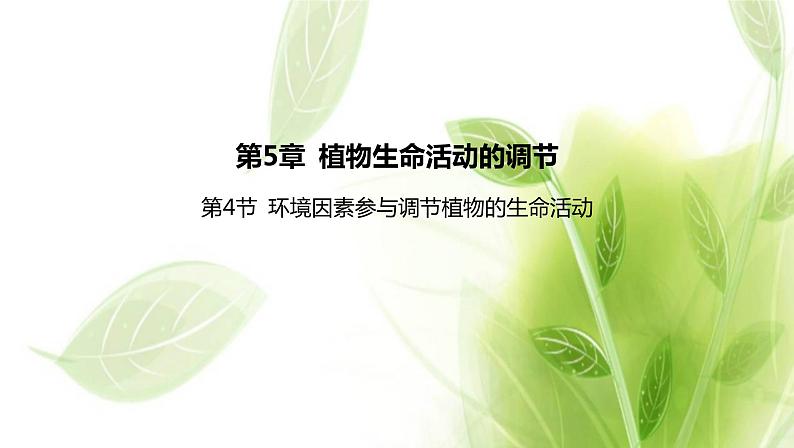 新人教版高中生物选择性必修第一册第5章植物生命活动的调节第4节环境因素参与调节植物的生命活动课件01