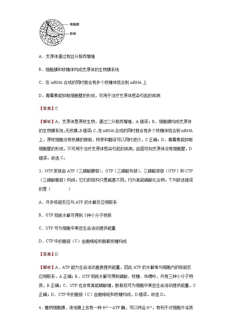 2022届河北省保定市七校高三联合一模生物试题含解析02