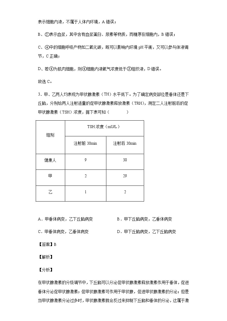 2021-2022学年河北省衡水市武强中学高二上学期第三次月考生物试题含解析第3页