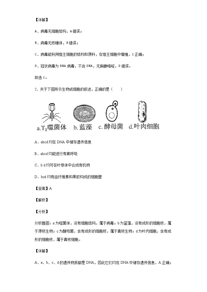 2021-2022学年河北省沧州市部分学校高一下学期开年摸底联考生物试题含解析02