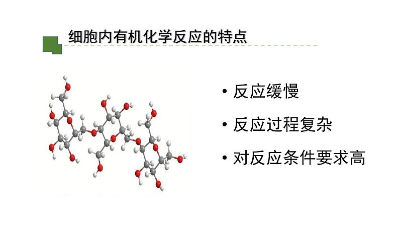 5.1.1降低化学反应活化能的酶课件2021-2022学年高一上学期生物人教版必修104