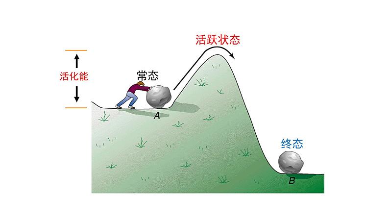 5.1.1降低化学反应活化能的酶课件2021-2022学年高一上学期生物人教版必修106