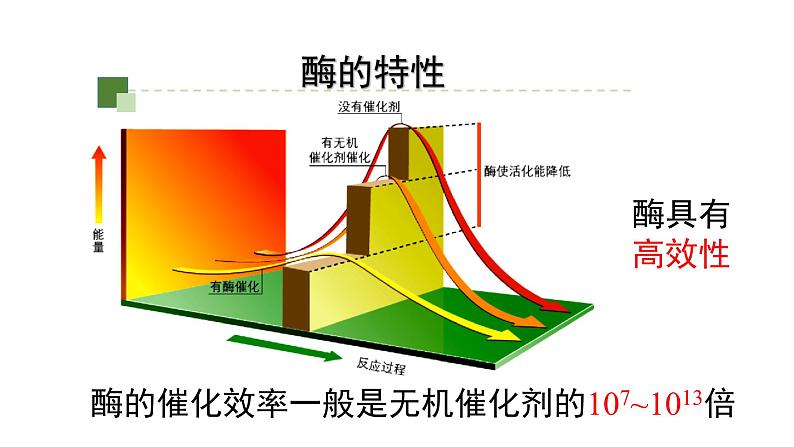 5.1.2降低化学反应活化能的酶课件2021-2022学年高一上学期生物人教版必修1第4页