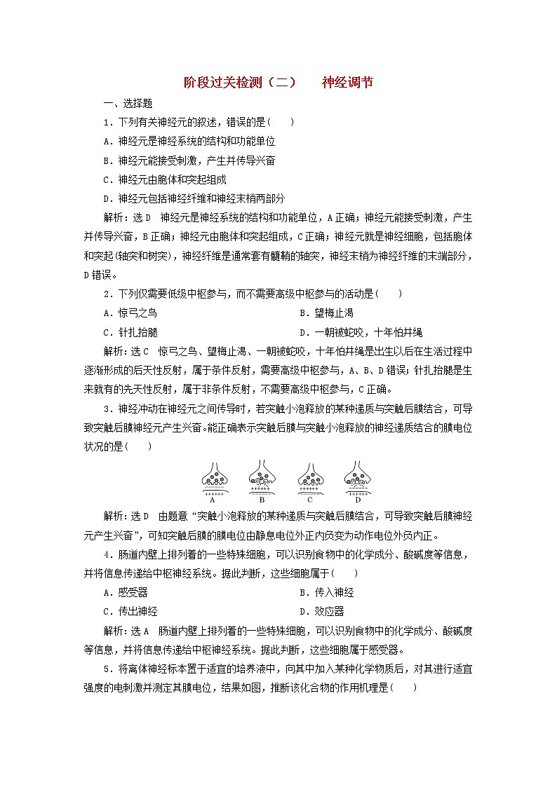 浙科版高中生物选择性必修1第二章神经调节阶段检测含解析01