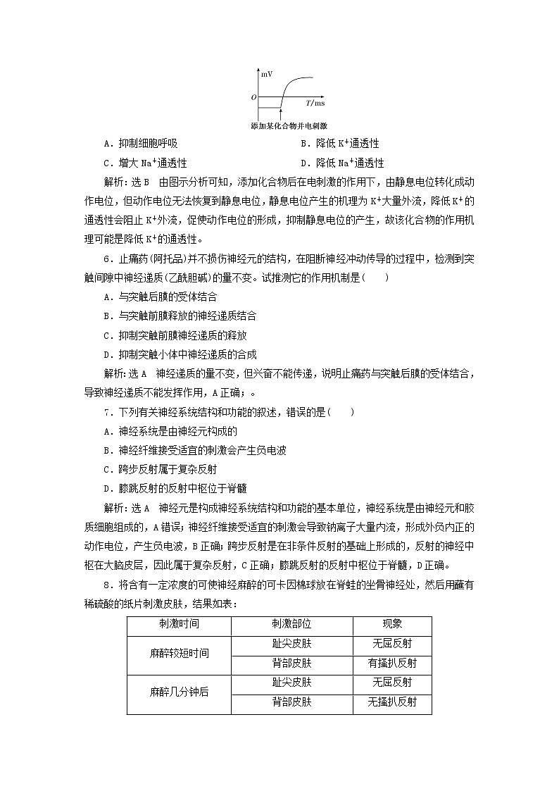 浙科版高中生物选择性必修1第二章神经调节阶段检测含解析02