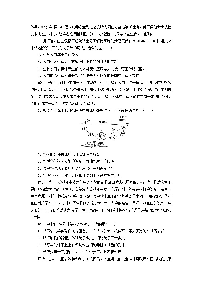 浙科版高中生物选择性必修1第四章免疫调节阶段检测含解析第3页