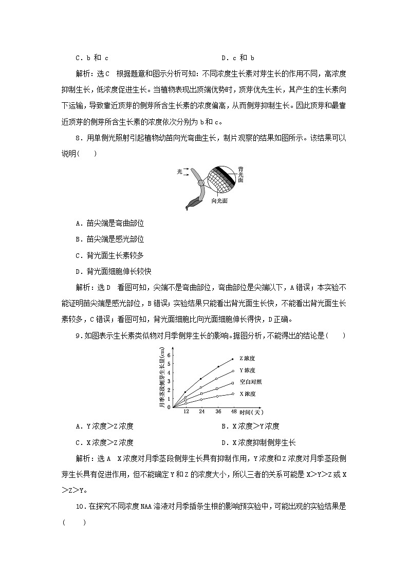 浙科版高中生物选择性必修1课时检测13生长素的发现开启了人类对植物激素调节的探索含解析03