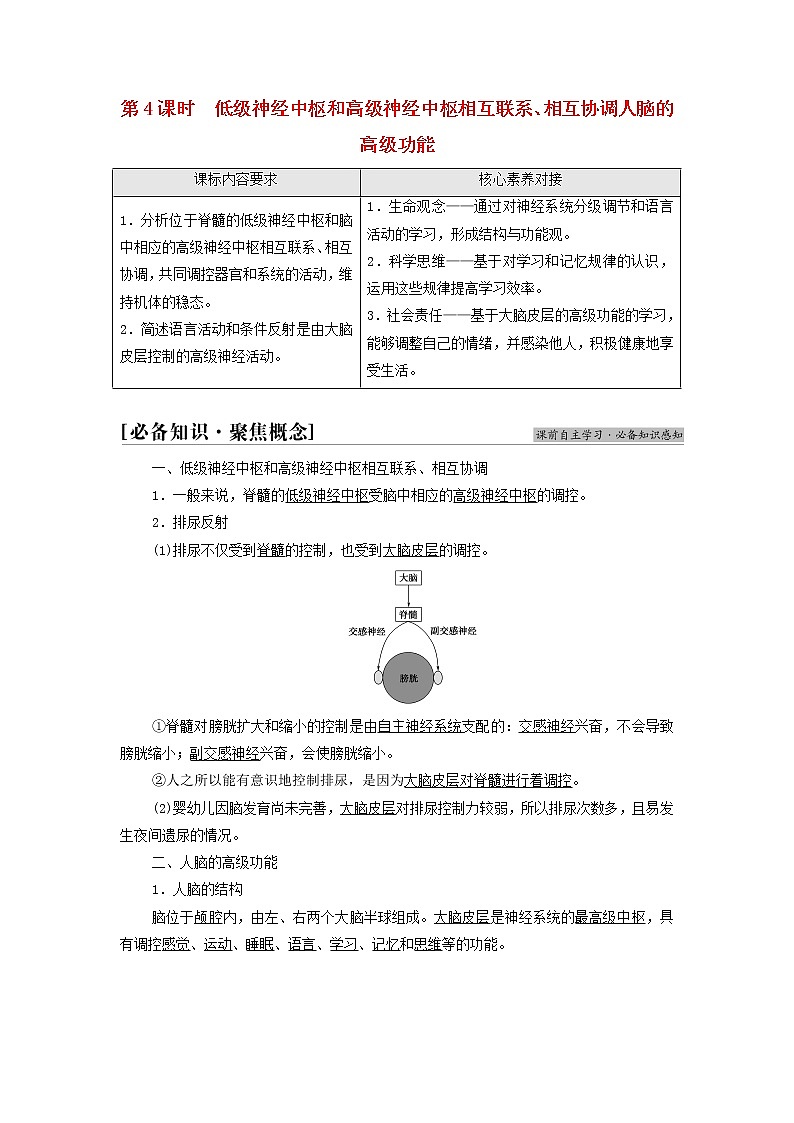 苏教版高中生物选择性必修1第一章人体稳态维持的生理基础第1节第4课时低级神经中枢和高级神经中枢相互联系相互协调人脑的高级功能学案第1页
