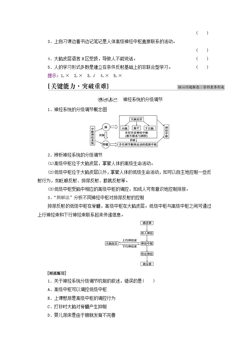 苏教版高中生物选择性必修1第一章人体稳态维持的生理基础第1节第4课时低级神经中枢和高级神经中枢相互联系相互协调人脑的高级功能学案第3页