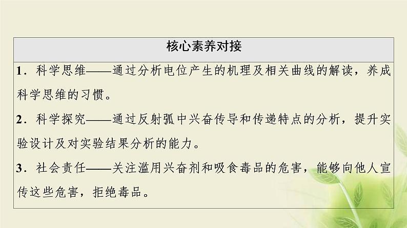 苏教版高中生物选择性必修1第一章人体稳态维持的生理基础第1节第2课时动作电位的产生和传导课件03