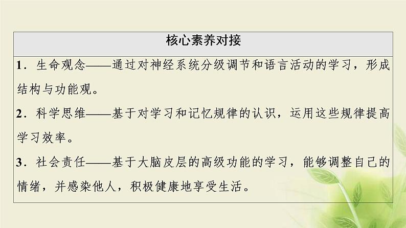 苏教版高中生物选择性必修1第一章人体稳态维持的生理基础第1节第4课时低级神经中枢和高级神经中枢相互联系相互协调人脑的高级功能课件03