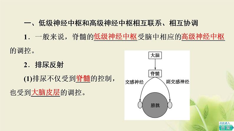 苏教版高中生物选择性必修1第一章人体稳态维持的生理基础第1节第4课时低级神经中枢和高级神经中枢相互联系相互协调人脑的高级功能课件05