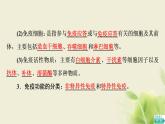 苏教版高中生物选择性必修1第三章人的免疫调节与稳态第1节第1课时人体的免疫系统和非特异性免疫应答课件