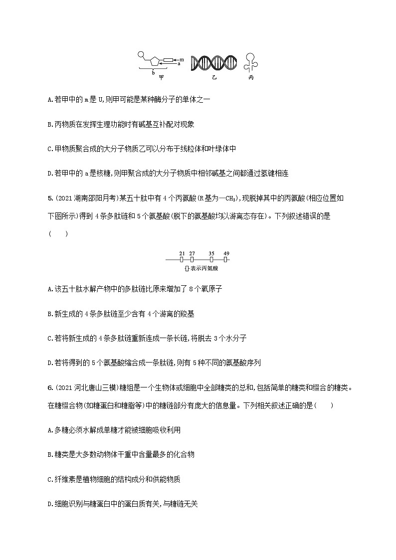 高考生物二轮复习专题突破练1细胞的分子基础含解析第2页