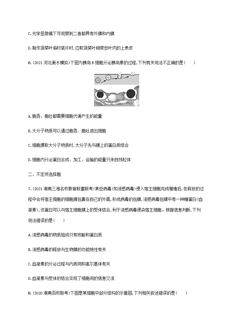 高考生物二轮复习专题突破练2细胞的结构基础与物质运输含解析第3页
