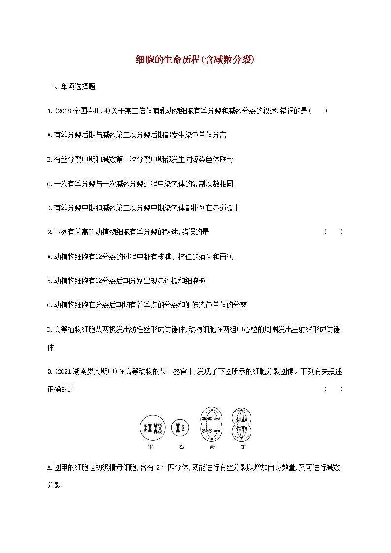 高考生物二轮复习专题突破练5细胞的生命历程含减数分裂含解析01