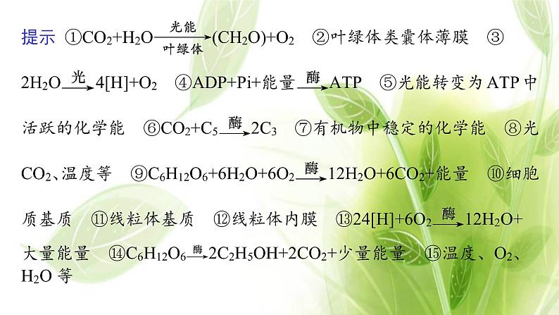 高考生物二轮复习专题二第2讲光合作用与细胞呼吸课件第4页