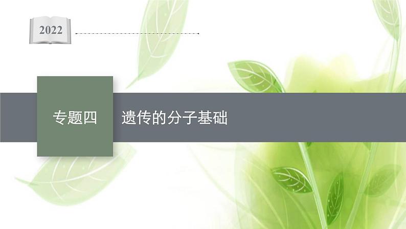 高考生物二轮复习专题四遗传的分子课件第1页
