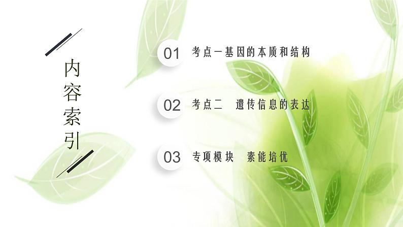 高考生物二轮复习专题四遗传的分子课件第2页