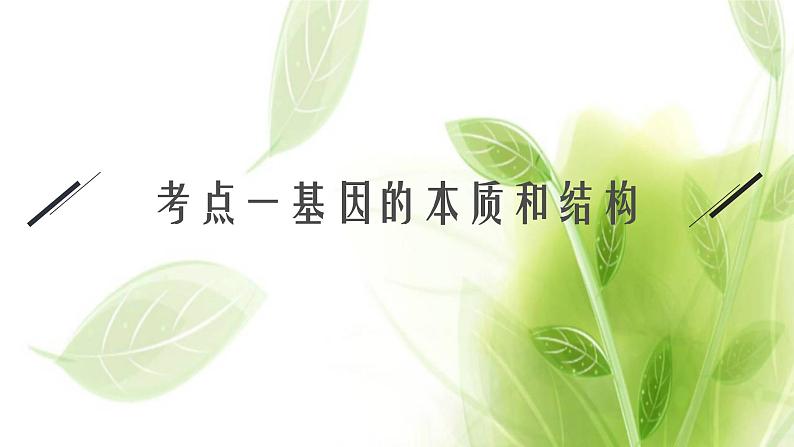 高考生物二轮复习专题四遗传的分子课件第8页