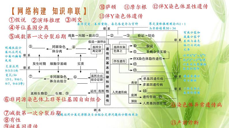 高考生物二轮复习专题五遗传规律与伴性遗传含人类遗传病课件第3页