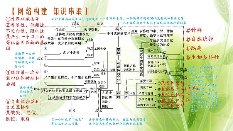 高考生物二轮复习专题六生物的变异育种与进化课件03