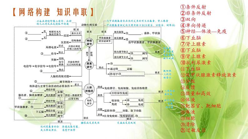 高考生物二轮复习专题七第1讲动物和人体生命活动的调节课件03