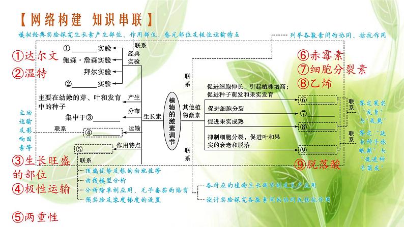 高考生物二轮复习专题七第2讲植物的激素调节课件第3页