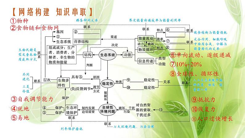 高考生物二轮复习专题八第2讲生态系统与环境保护课件第3页