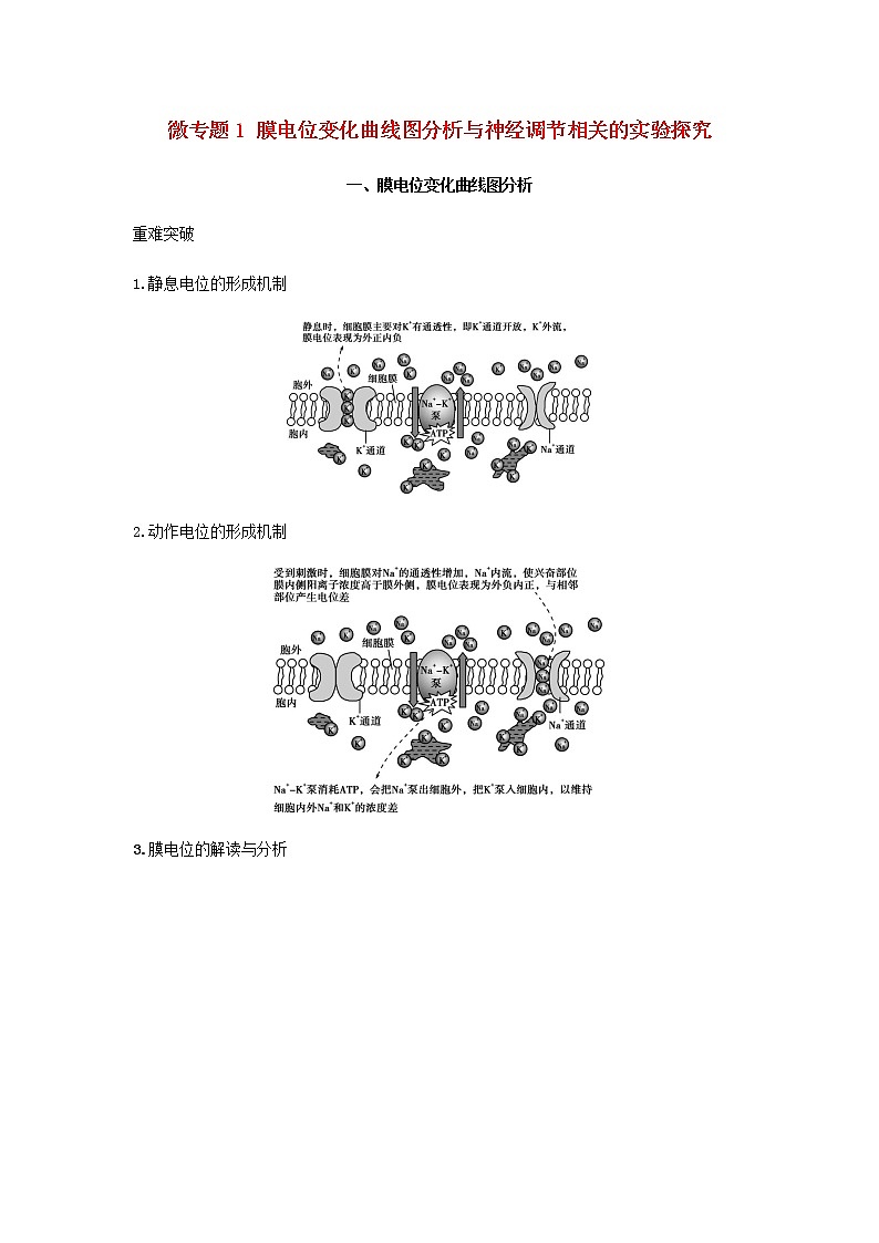 新人教版高中生物选择性必修第一册第2章神经调节微专题1膜电位变化曲线图分析与神经调节相关的实验探究学案第1页