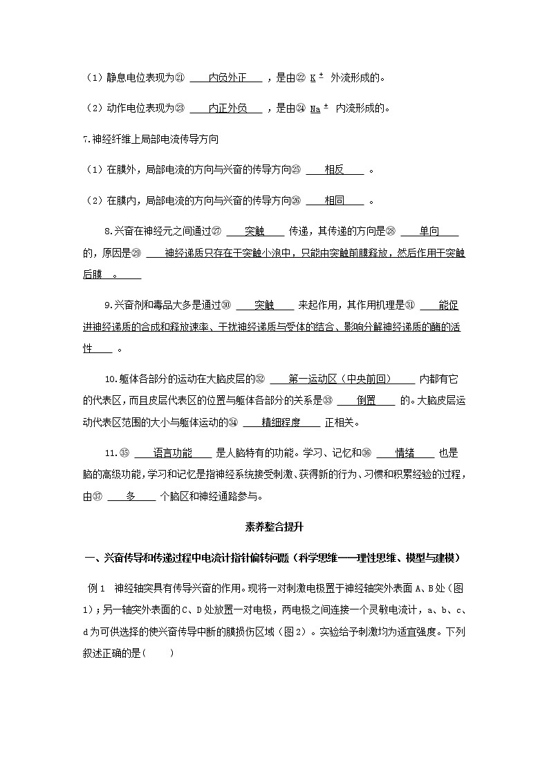 新人教版高中生物选择性必修第一册第2章神经调节章末总结学案02