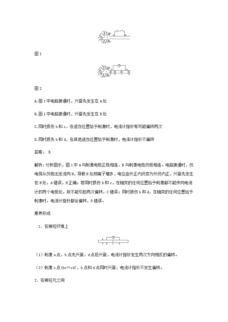 新人教版高中生物选择性必修第一册第2章神经调节章末总结学案03