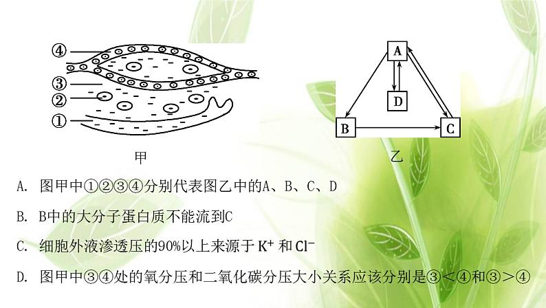 新人教版高中生物选择性必修第一册第1章人体的内环境与稳态章末总结课件第6页