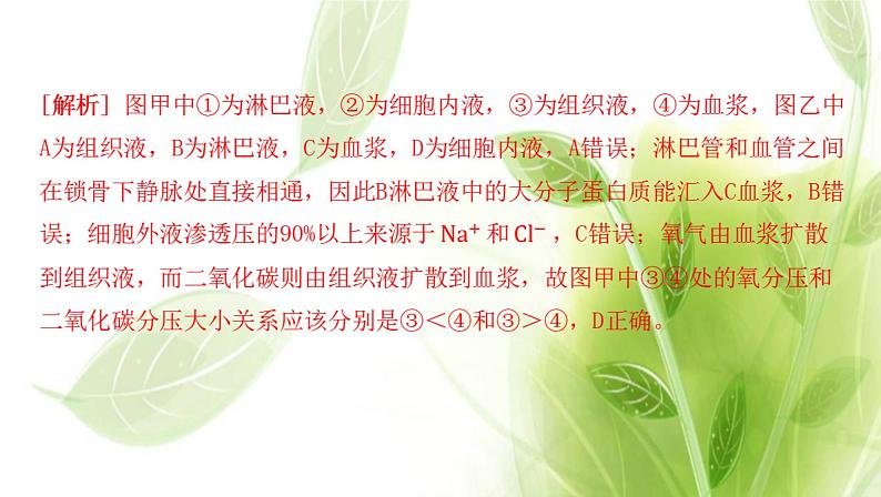 新人教版高中生物选择性必修第一册第1章人体的内环境与稳态章末总结课件第7页