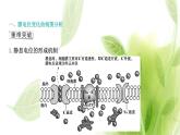 新人教版高中生物选择性必修第一册第2章神经调节微专题1膜电位变化曲线图分析与神经调节相关的实验探究课件
