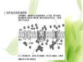 新人教版高中生物选择性必修第一册第2章神经调节微专题1膜电位变化曲线图分析与神经调节相关的实验探究课件