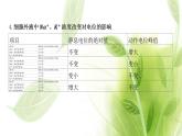 新人教版高中生物选择性必修第一册第2章神经调节微专题1膜电位变化曲线图分析与神经调节相关的实验探究课件
