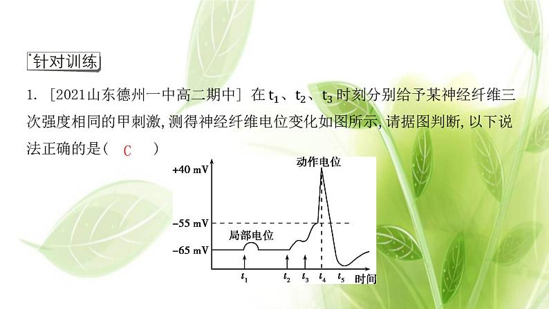 新人教版高中生物选择性必修第一册第2章神经调节微专题1膜电位变化曲线图分析与神经调节相关的实验探究课件第6页