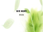 新人教版高中生物选择性必修第一册第2章神经调节章末总结课件