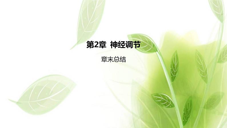 新人教版高中生物选择性必修第一册第2章神经调节章末总结课件01