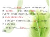 新人教版高中生物选择性必修第一册第2章神经调节章末总结课件