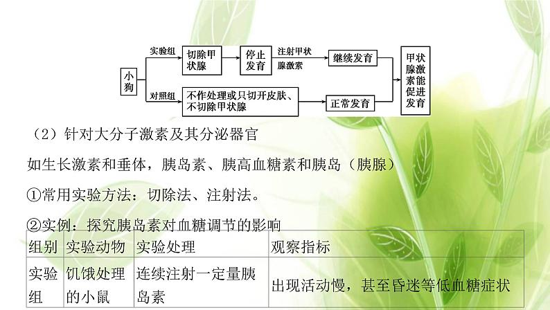 新人教版高中生物选择性必修第一册第3章体液调节微专题2探究动物激素功能的实验方法课件第5页