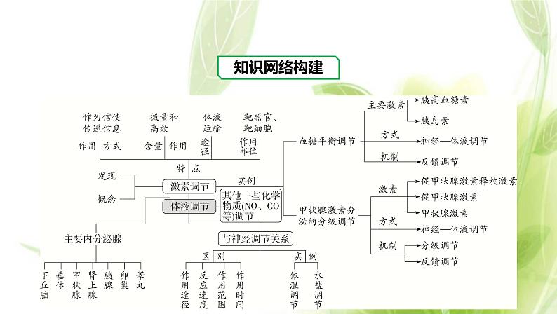 新人教版高中生物选择性必修第一册第3章体液调节章末总结课件第2页