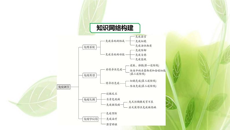 新人教版高中生物选择性必修第一册第4章免疫调节章末总结课件02